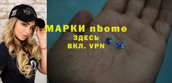 индика Кулебаки