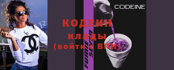 индика Кулебаки