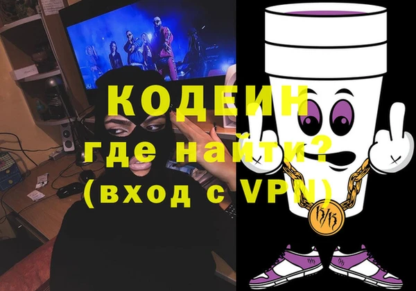 индика Кулебаки