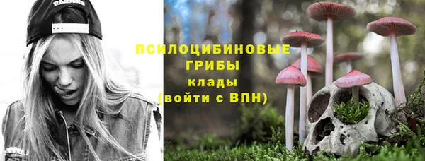 индика Кулебаки