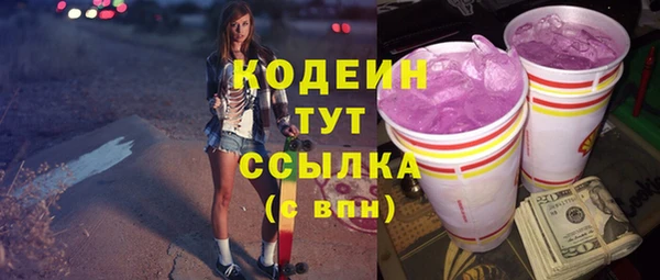 индика Кулебаки