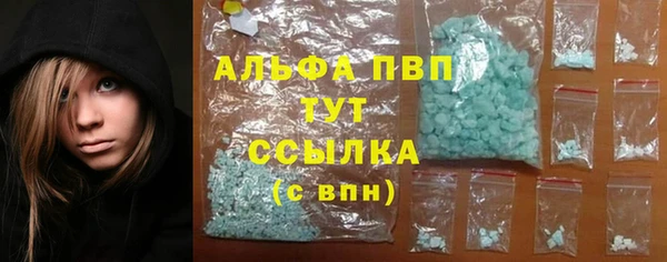индика Кулебаки