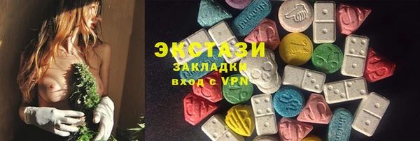 индика Кулебаки