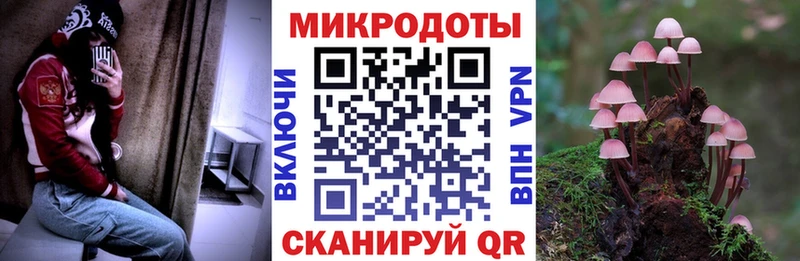 гидра рабочий сайт купить наркотики сайты Суджа Галлюциногенные грибы мицелий