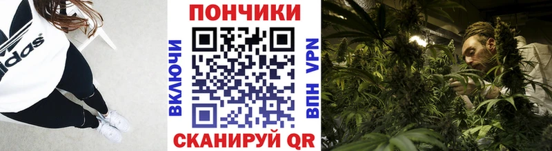 Бошки марихуана гибрид  Суджа 