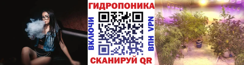 Бошки Шишки план Суджа